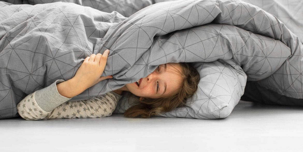 Comforter blanket online